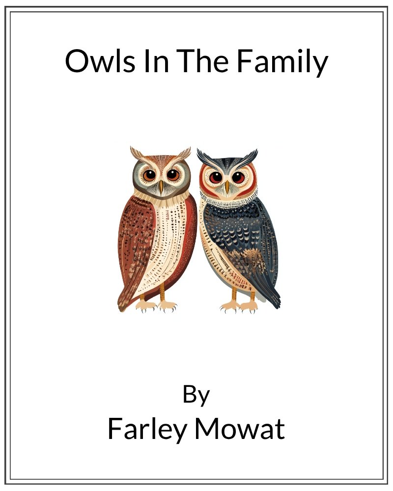 Cover image for Owls In The Family